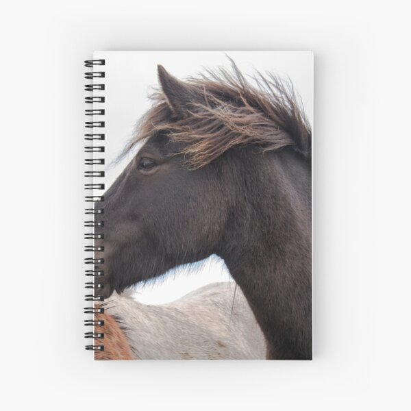 Aperçu de l'œuvre Cheval Islandais III créée et vendue par DianaC.