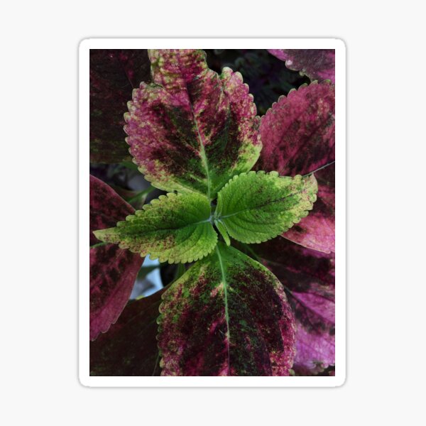 Item preview, pink and green leaves designed and sold by likbatonboot.