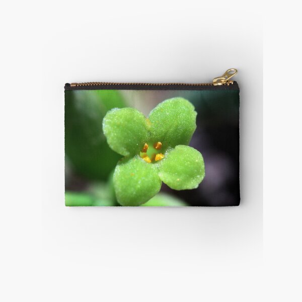 Item preview, Wikstroemia indica designed and sold by andrachne.
