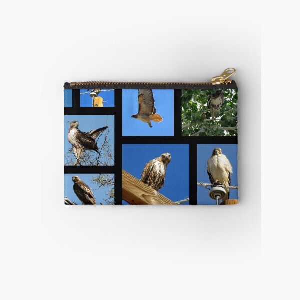 Item preview, Red-tailed Hawk ~ Raptor Series designed and sold by Luck of the Shutter.