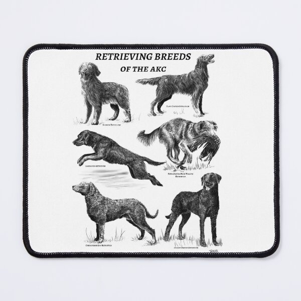 Item preview, Retrieving Breeds designed and sold by taylorsarttable.