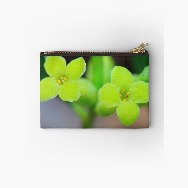 Item preview, Wikstroemia indica  designed and sold by andrachne.