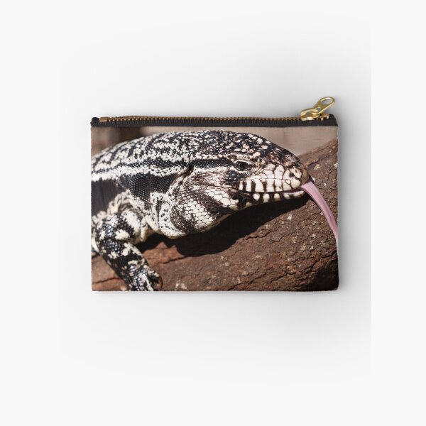 Item preview, Tegu designed and sold by Steve Bullock.