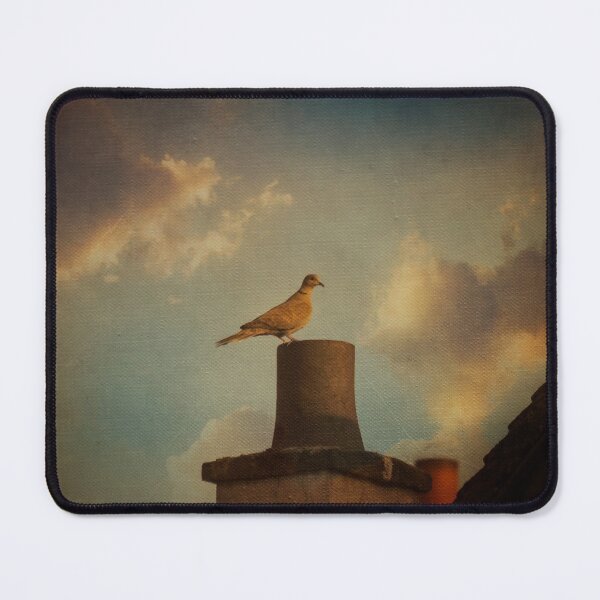 Item preview, pigeon sitting on a chimney designed and sold by Dyrk Wyst Redbubble Shop.
