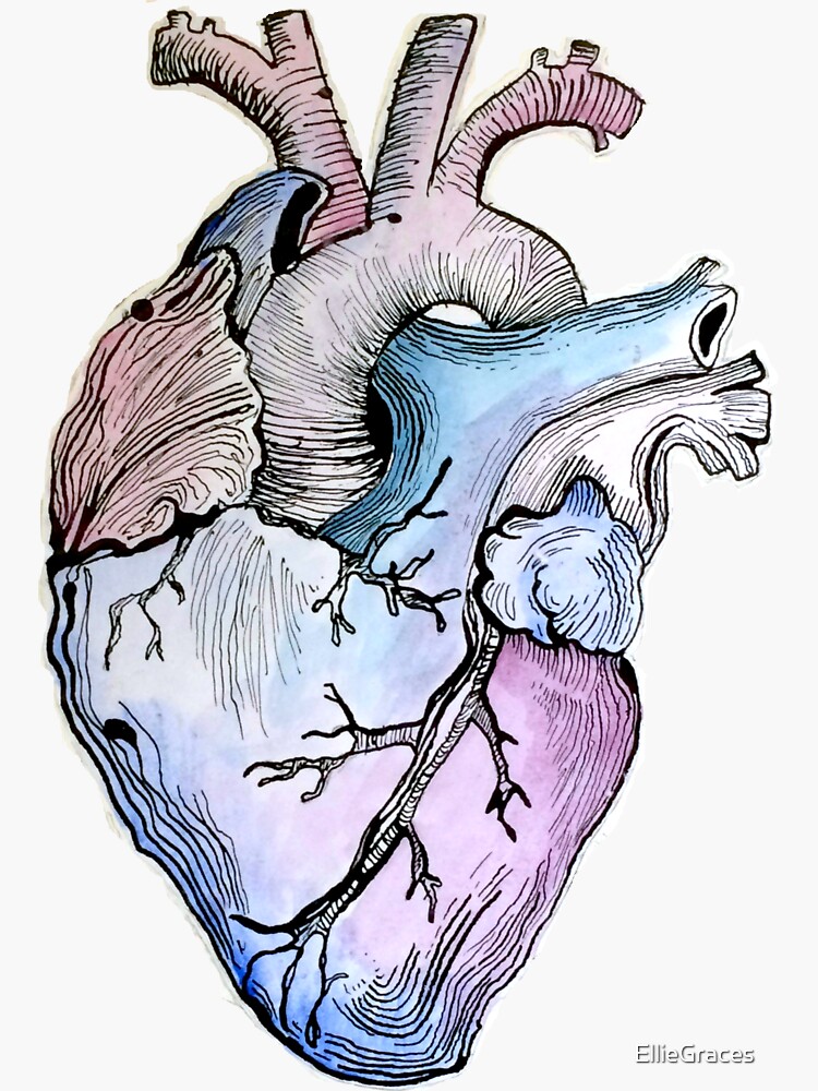 Anatomical Blue Heart by EllieGraces