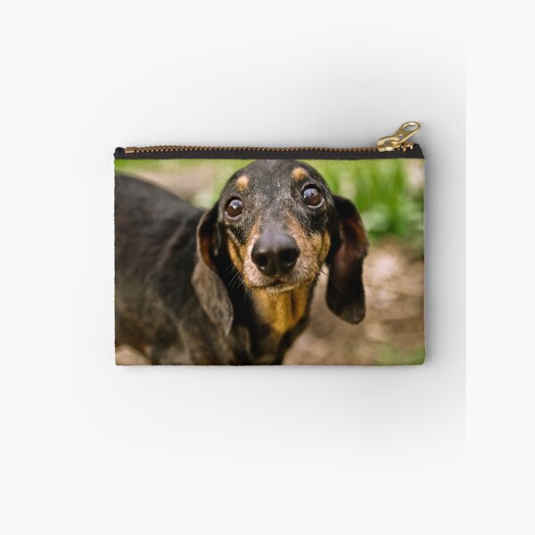 Item preview, Zachary designed and sold by Dave Parrish Photography.