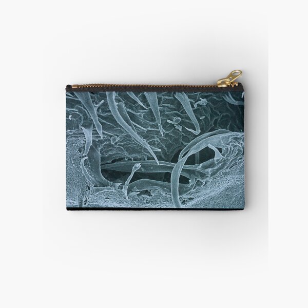 Item preview, Cannabis designed and sold by Douglas Gaston IV.