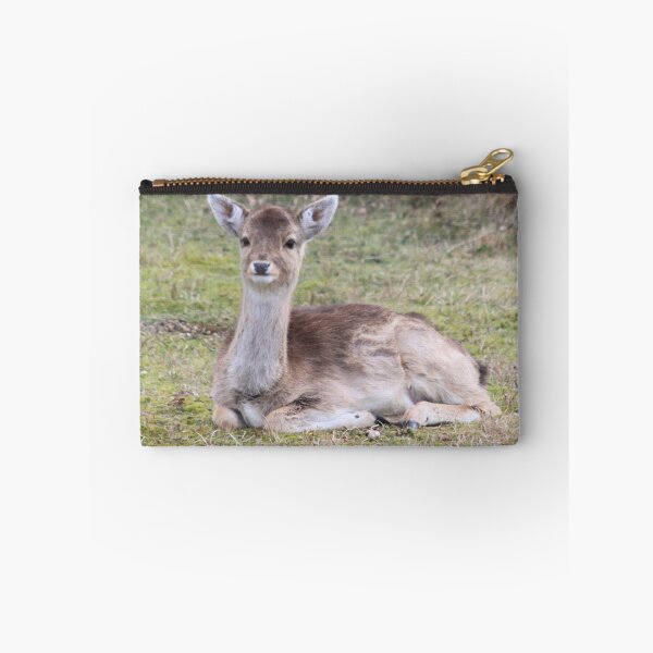 Item preview, Fallow Deer_4156 designed and sold by DutchLumix.
