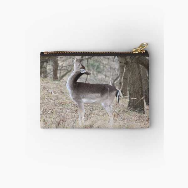 Item preview, Fallow Deer_4102 designed and sold by DutchLumix.