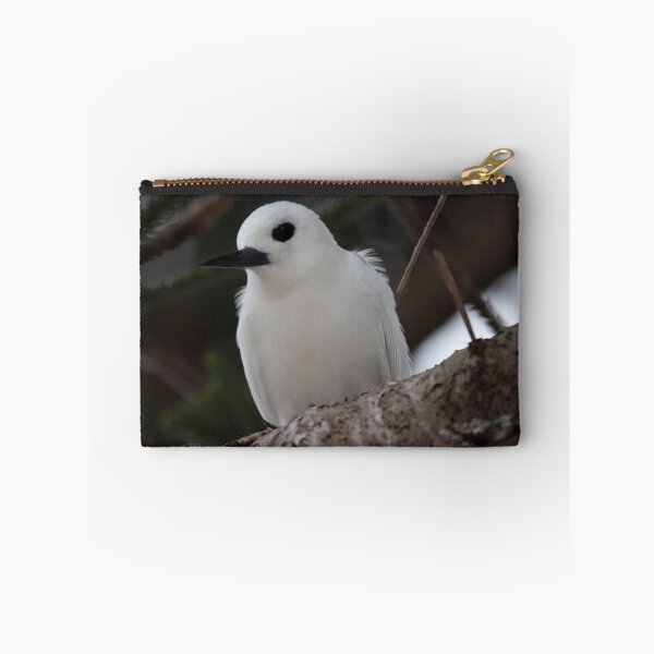 Item preview, Lord Howe Island White Tern Sitting on a Norfolk Pine  designed and sold by Robert Stephens.