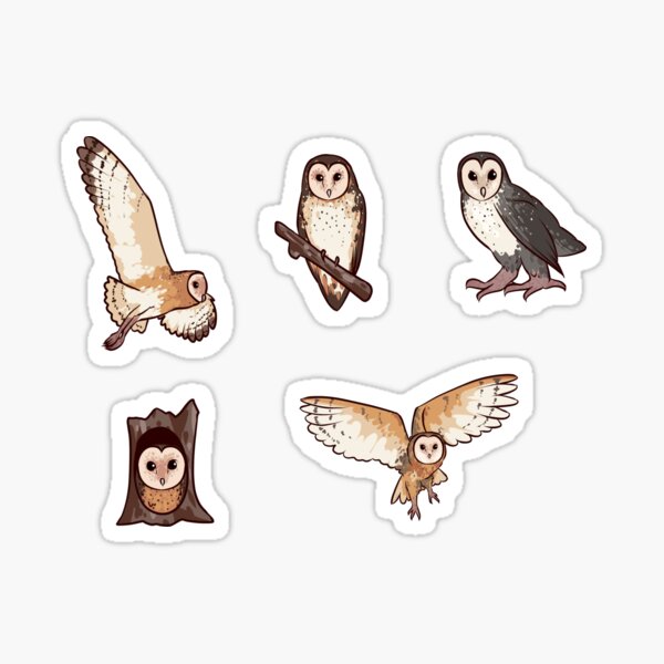 Item preview, Australian Masked Owl designed and sold by DiomediaDesigns.