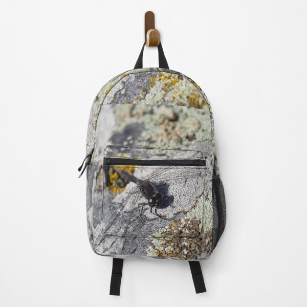 Item preview, Black darter on Rhizocarpaceae designed and sold by Jouko Lehto Photography.