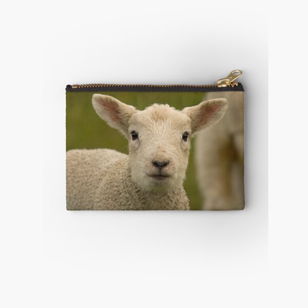 Item preview, Little spring lamb two designed and sold by Jon Lees.