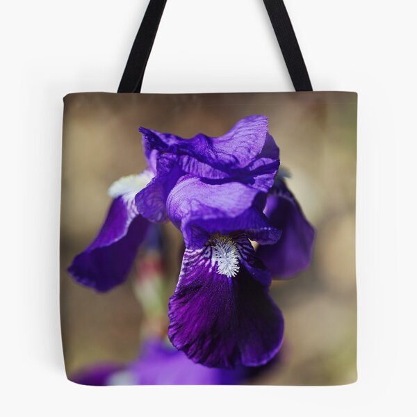 Aperçu de l'œuvre Iris barbu violet créée et vendue par Joy Watson - Natural Light Photography .