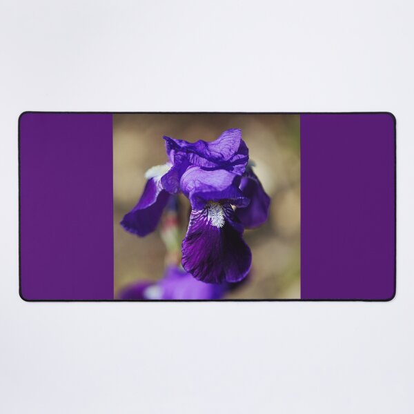Item preview, Purple Bearded Iris  designed and sold by Joy Watson - Natural Light Photography .