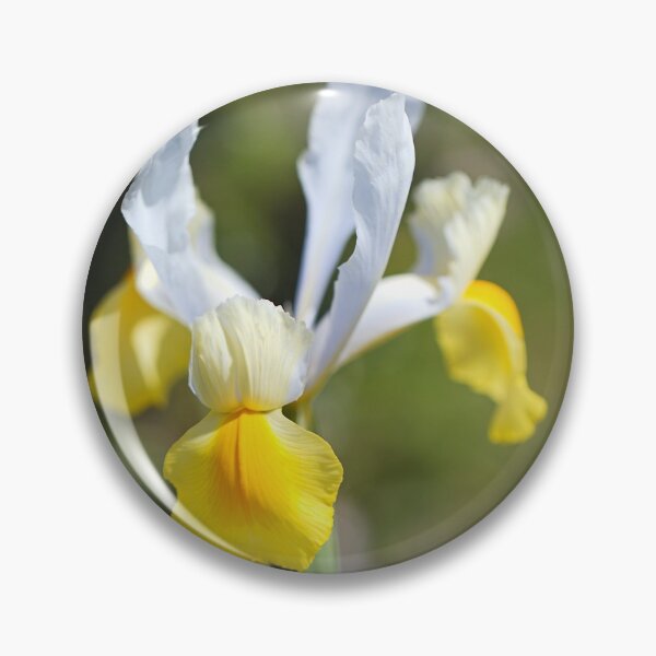 Item preview, Oriental Beauty Dutch Iris Spring designed and sold by Joy Watson - Natural Light Photography .
