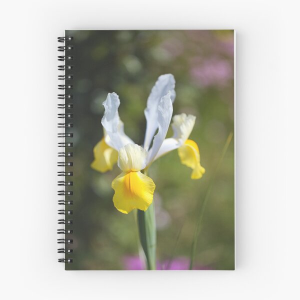 Item preview, Oriental Beauty Dutch Iris Spring designed and sold by Joy Watson - Natural Light Photography .