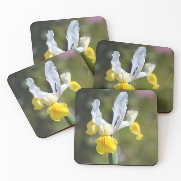 Item preview, Oriental Beauty Dutch Iris Spring designed and sold by Joy Watson - Natural Light Photography .