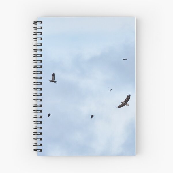 Item preview, Reluctant lunch. White-tailed sea-eagle hunting grey heron while jackdaws are disturbing the action designed and sold by Jouko Lehto Photography.