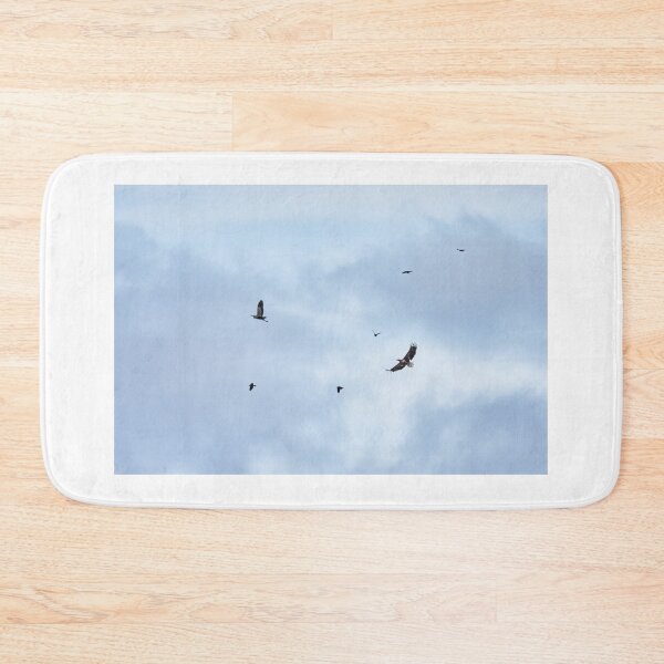 Item preview, Reluctant lunch. White-tailed sea-eagle hunting grey heron while jackdaws are disturbing the action designed and sold by Jouko Lehto Photography.