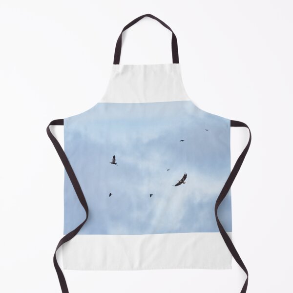 Item preview, Reluctant lunch. White-tailed sea-eagle hunting grey heron while jackdaws are disturbing the action designed and sold by Jouko Lehto Photography.