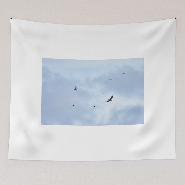 Item preview, Reluctant lunch. White-tailed sea-eagle hunting grey heron while jackdaws are disturbing the action designed and sold by Jouko Lehto Photography.