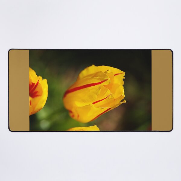 Item preview, Monsella Tulips Yellow designed and sold by Joy Watson - Natural Light Photography .