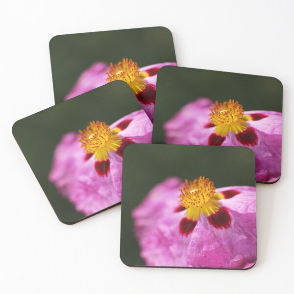 Item preview, Hibiscus Desert Rose Is Pink designed and sold by Joy Watson - Natural Light Photography .