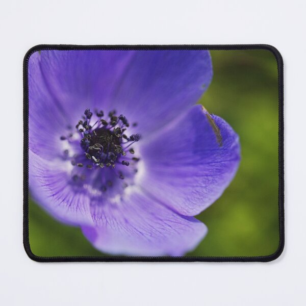 Item preview, Anemone Flower Blue Purple  designed and sold by Joy Watson - Natural Light Photography .