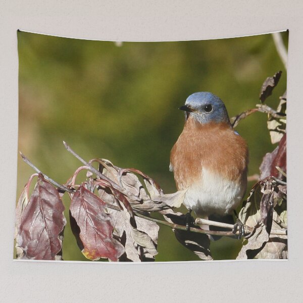 Item preview, Eastern Bluebird designed and sold by Enola Gay Wagner.