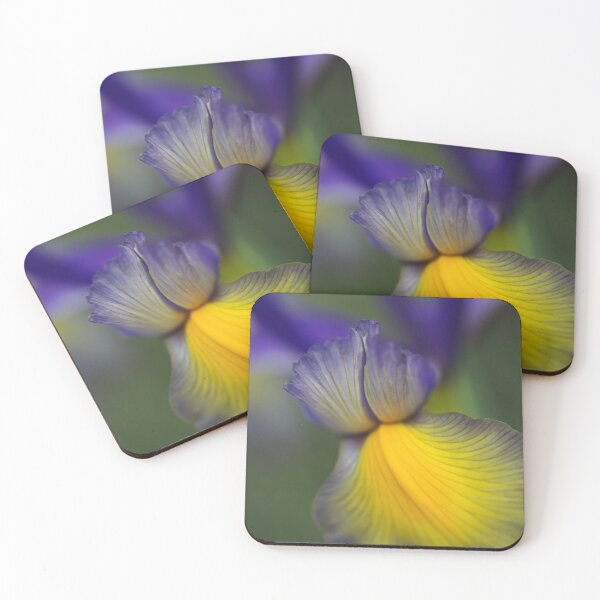 Item preview, Iris Purples And The Yellows designed and sold by Joy Watson - Natural Light Photography .