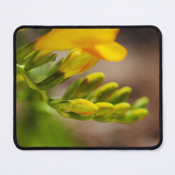 Item preview, Freesia Hand And Her Fingers designed and sold by Joy Watson - Natural Light Photography .