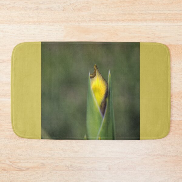 Item preview, Iris Bud Yellow With Purple designed and sold by Joy Watson - Natural Light Photography .