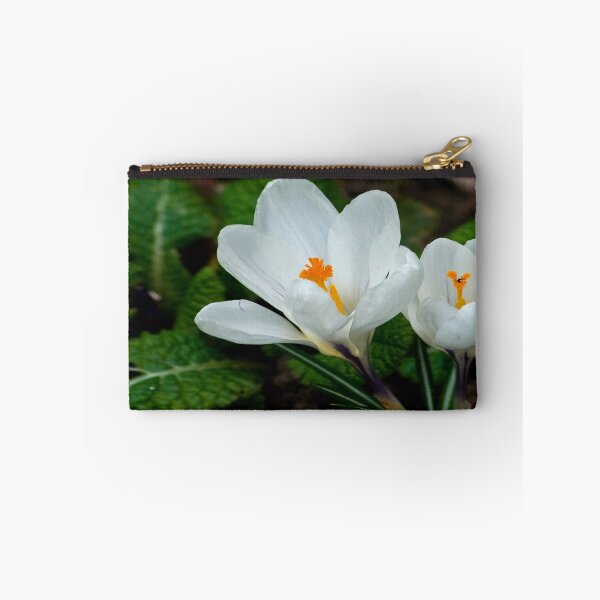 Artikelvorschau, White Crocus  (Spring Bulbs) entworfen und verkauft von Trevor Kersley.