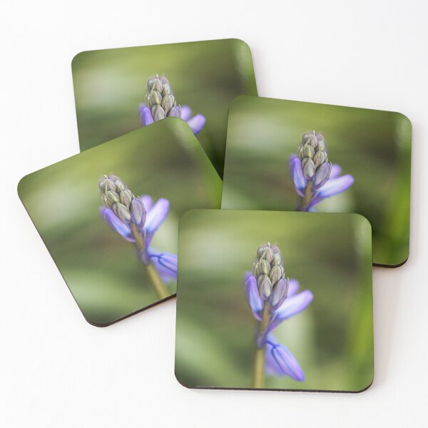 Item preview, Bluebell Flower Opening designed and sold by Joy Watson - Natural Light Photography .