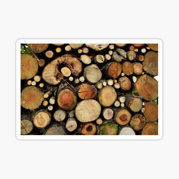 Tree rings Sticker