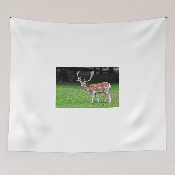 Item preview,  fallow deer designed and sold by Wizi-Top.