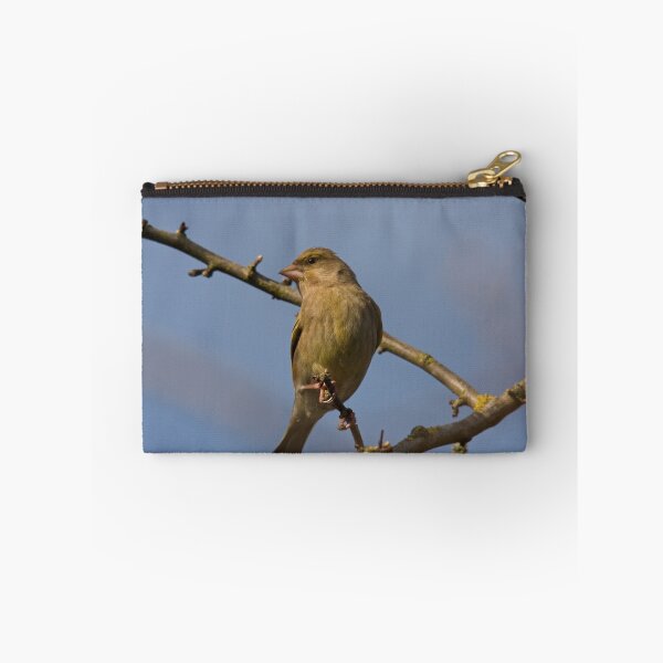 Item preview, Female Greenfinch designed and sold by Jon Lees.