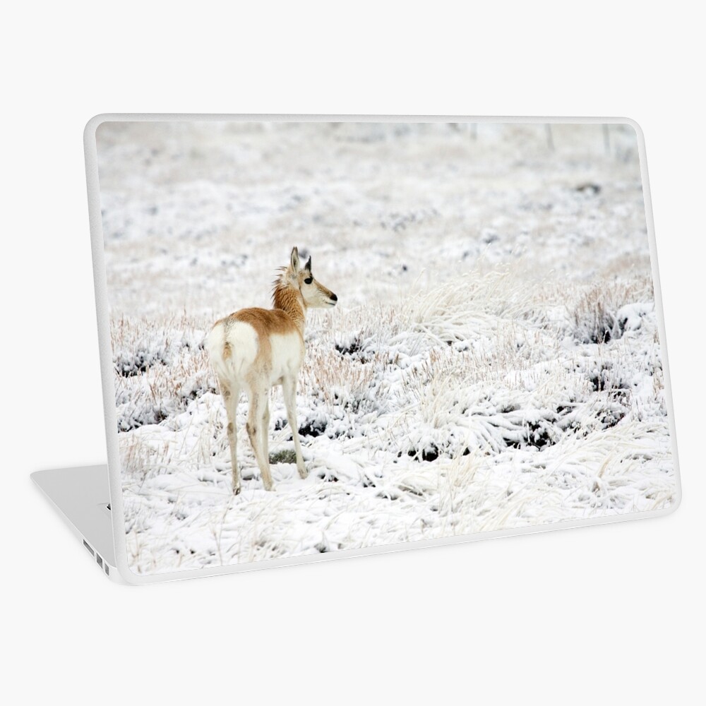 My High Key World Laptop Skin