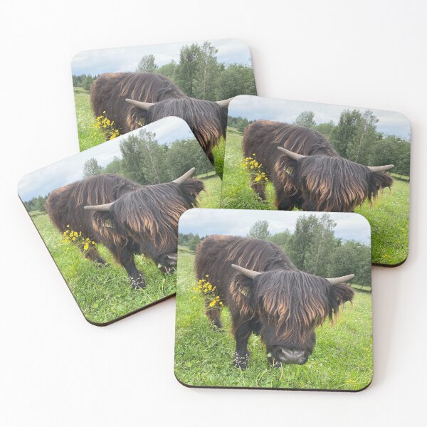 Item preview, Scottish Highland Cattle Calf 2889 designed and sold by SaarelaHighland.