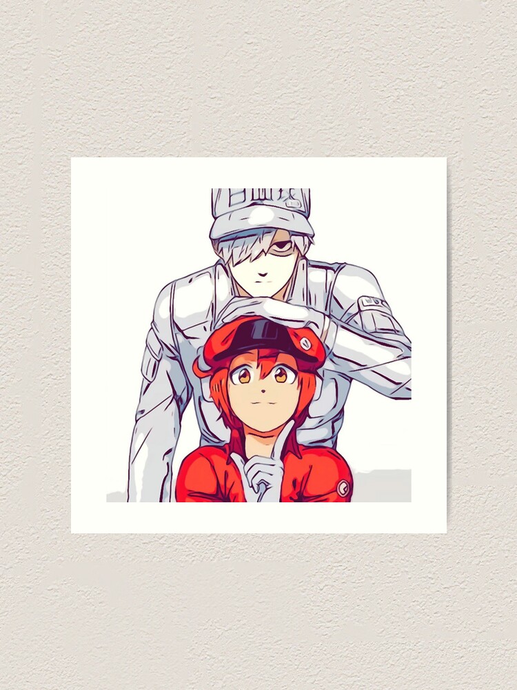 Hataraku Saibou - Cells At Work Art Board Print for Sale by CherylKato