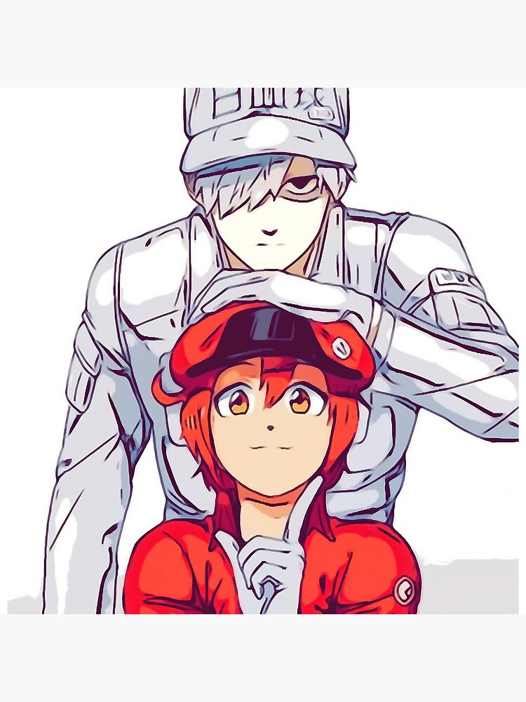 Cells at work, white blood cell x red blood cell