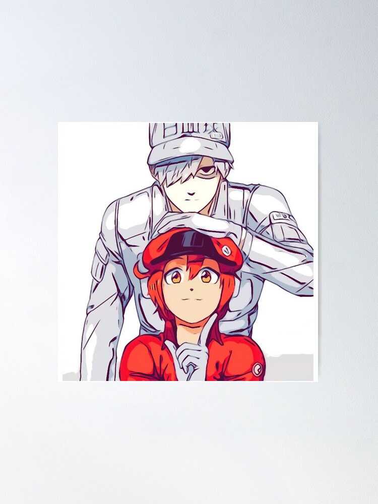 Hataraku Saibou Cells at Work - White Blood Cell  Poster for Sale by  CherylKato