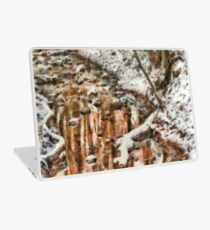 Winter - Natures Harmony Laptop Skin