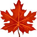 I love Autumn - Autumn leaves" Sticker for Sale by Celey-shop | Redbubble