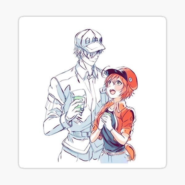 Item preview, Hataraku SaibouCells At Work-(Sketch)  designed and sold by CherylKato.