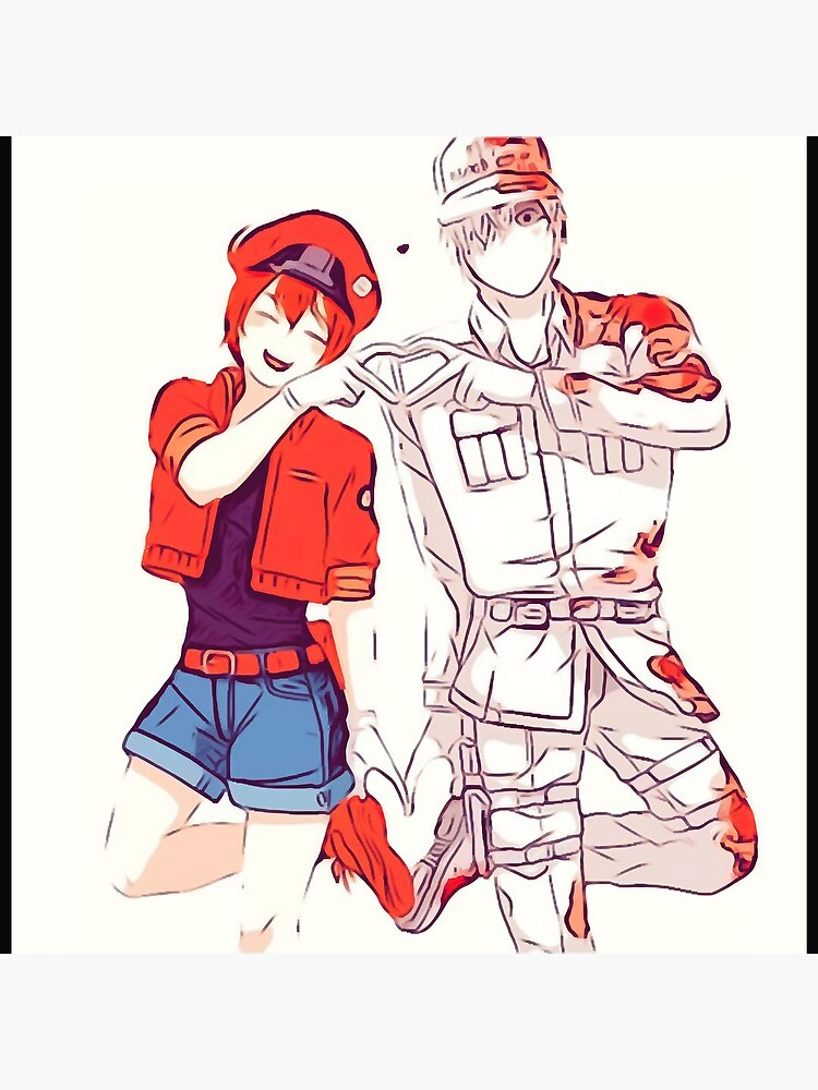 Hataraku Saibou - Cells At Work Art Board Print for Sale by CherylKato