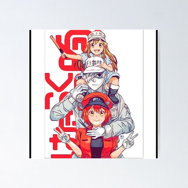 Hataraku Saibou Cells at Work - White Blood Cell  Poster for Sale by  CherylKato