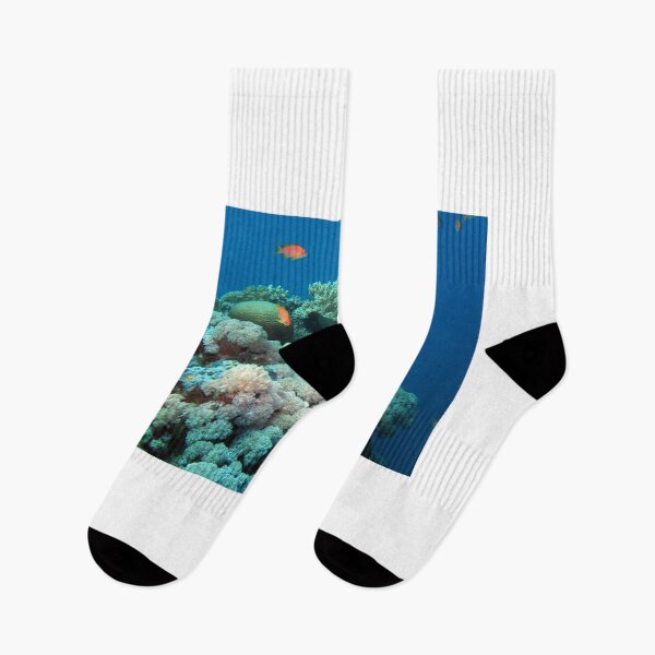 Item preview, coral reef with fishes designed and sold by likbatonboot.