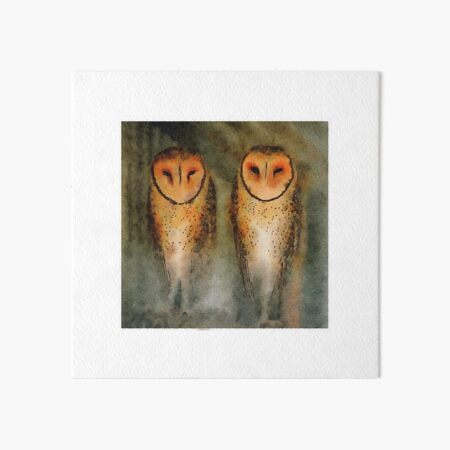 Barn Owl Art Board Print
